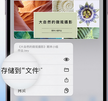 通河apple维修中心分享iPhone文件应用中存储和找到下载文件