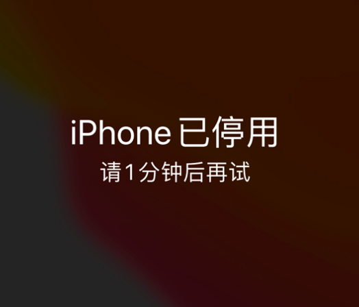 通河苹果手机维修分享:iPhone 显示“不可用”或“已停用”怎么办？还能保留数据吗？ 