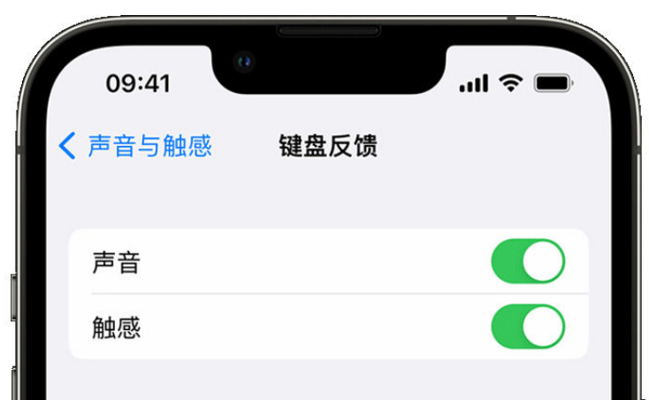 通河苹果手机维修分享iPhone 14触感键盘使用方法 