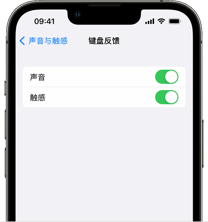 通河苹果14维修店分享如何在 iPhone 14 机型中使用触感键盘 