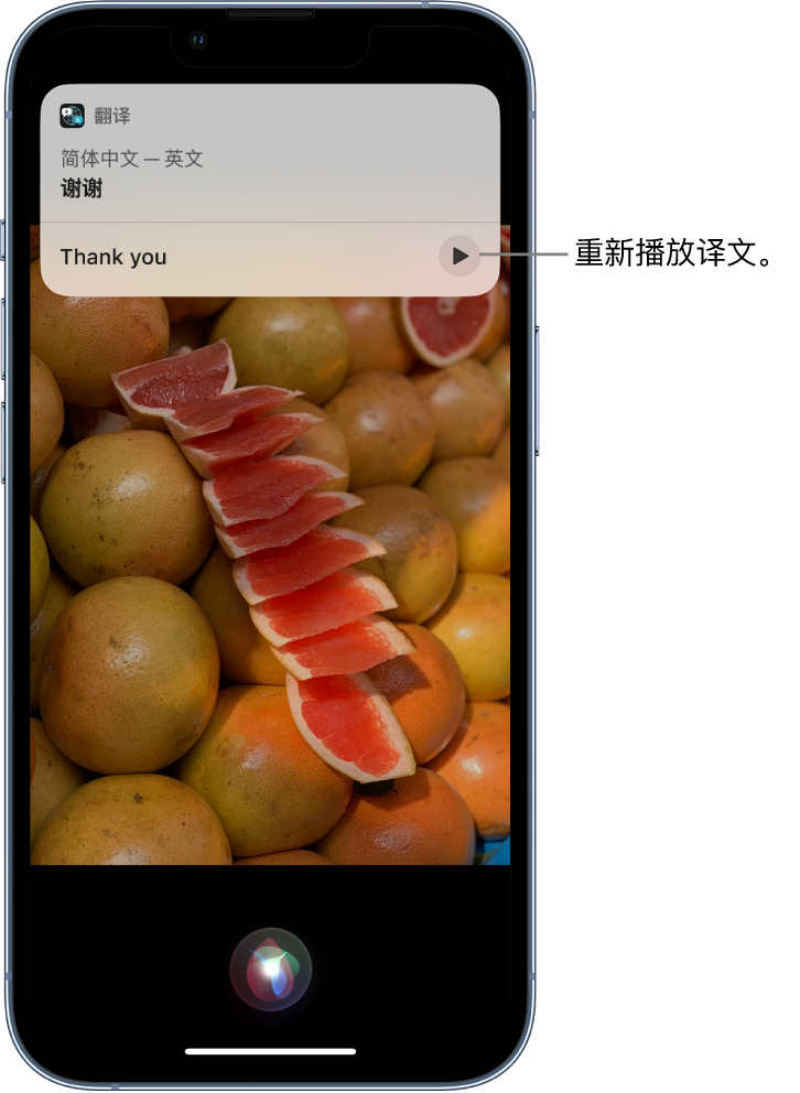 通河苹果14维修分享 iPhone 14 机型中使用 Siri：了解 Siri 能帮你做什么 