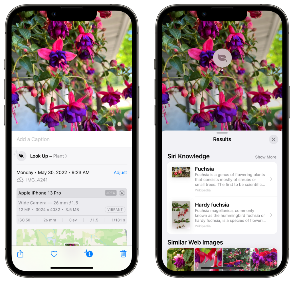 通河苹果手机维修分享小技巧：使用 iPhone 相机识别花卉植物 