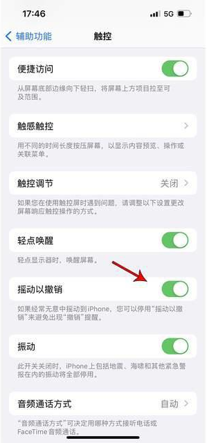 通河苹果手机维修分享iPhone手机如何设置摇一摇删除文字 